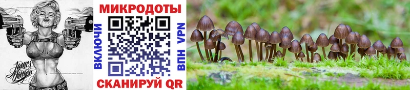 Галлюциногенные грибы MAGIC MUSHROOMS  Каменск-Уральский 